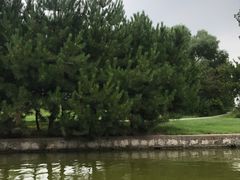 -森林公园(尖草坪区)