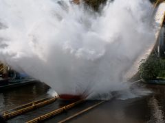 -五龙山野生动物王国