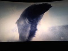 -百美汇影城(LUXE嘉里中心店)