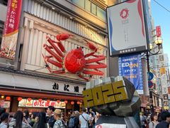 -蟹道乐(道顿堀本店)