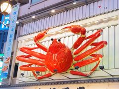 -蟹道乐(道顿堀本店)