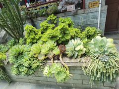 -寂照庵