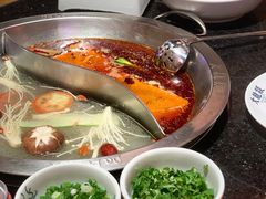 -大龙燚火锅(南山大道店)