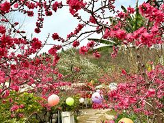 -桃源山庄·水蜜桃采摘·柴火鸡·烧烤团建(龙泉山店)