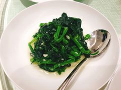 蒜茸豆苗-南山鲜虾面·活鲜小馆·海味大连菜(南山总店)