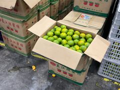 -西郊国际农产品交易中心