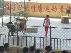 -东方熊牧场