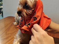 -Line来恩咖啡(石厦花园店)