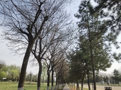 -汉长安城未央宫国家考古遗址公园