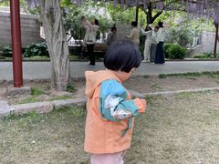 -嘉定紫藤园