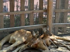 -水上乐园·欢乐世界