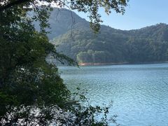 -广州市流溪河国家森林公园