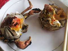 -正阳春鸭子楼(汉沽店)