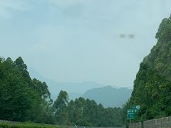 -张醪糟