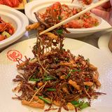 这个月，樱花和小龙虾的默契度💯！
