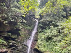 -碧峰峡风景区