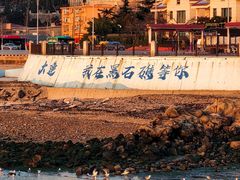 -黑石礁公园