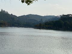 -顺峰山公园