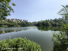 -重庆彩云湖湿地公园
