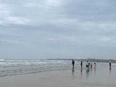 -日照海滨国家森林公园