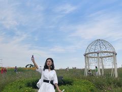-紫颐香薰山谷景区