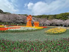 -苏州上方山国家森林公园