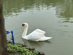 -海南热带野生动植物园