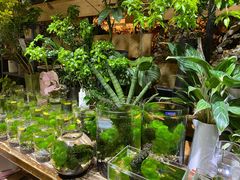 -缦云里花园餐厅