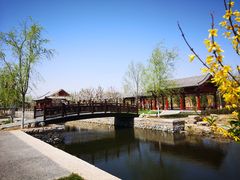 -张家湾公园