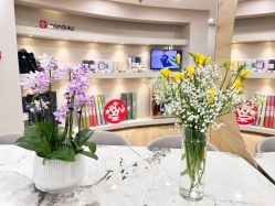 -酉嘉瑜伽YO+YOGA