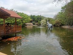 -深圳野生动物园