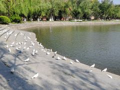 -上海交通大学(闵行校区)