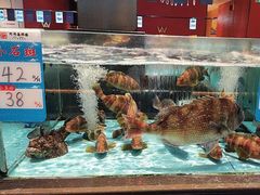 -阿伟海鲜楼·福建菜(延寿店)