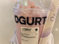 -一只酸奶牛(曲江龙湖星悦荟店)