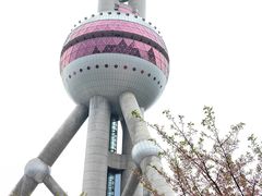 -东方明珠广播电视塔