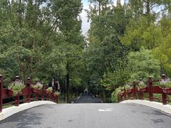 -东平国家森林公园