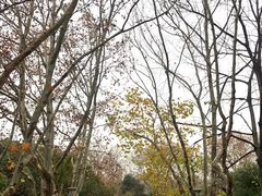 -蠡湖中央公园