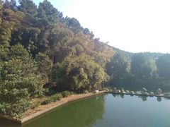 android_upload_pic-旺山景区