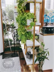 -尚艺造型.剪烫染.接发