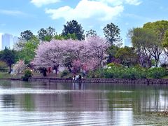 -无锡蠡湖国家湿地公园-蠡园