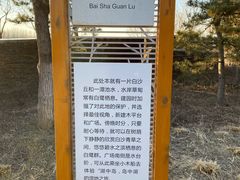 -东郊湿地公园