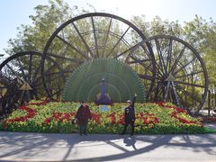 -呀路古热带植物园