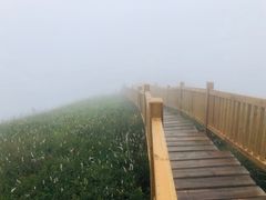 -白草畔自然风景区