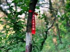 -燕窝岭