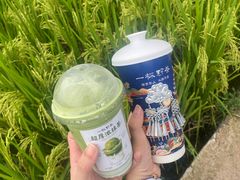 -一杯黔茶(西江千户苗寨古街店)