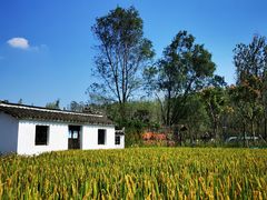 -溱湖国家湿地公园