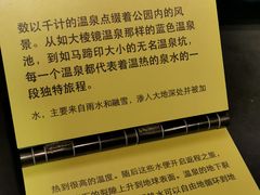 -老忠实间歇泉