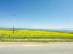 -青海湖国家重点风景名胜区