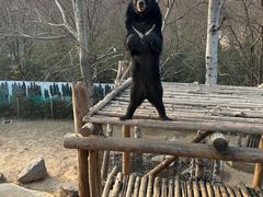 -济南野生动物世界