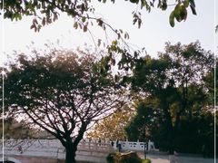 -海珠湖公园